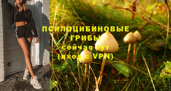 круглые Каменногорск