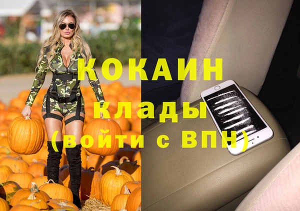 молекула духа Каменск-Шахтинский